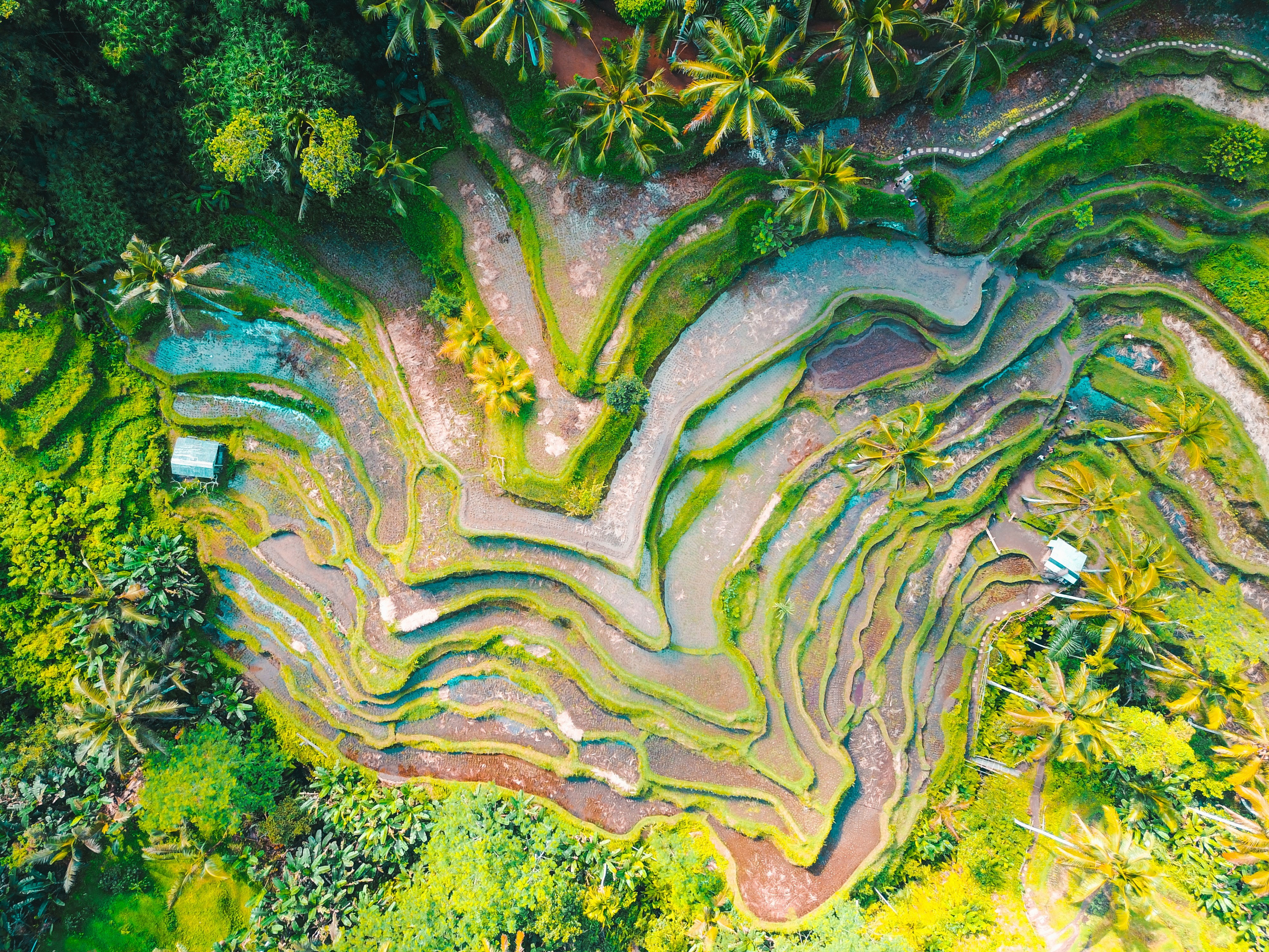 Bali in Indonesia