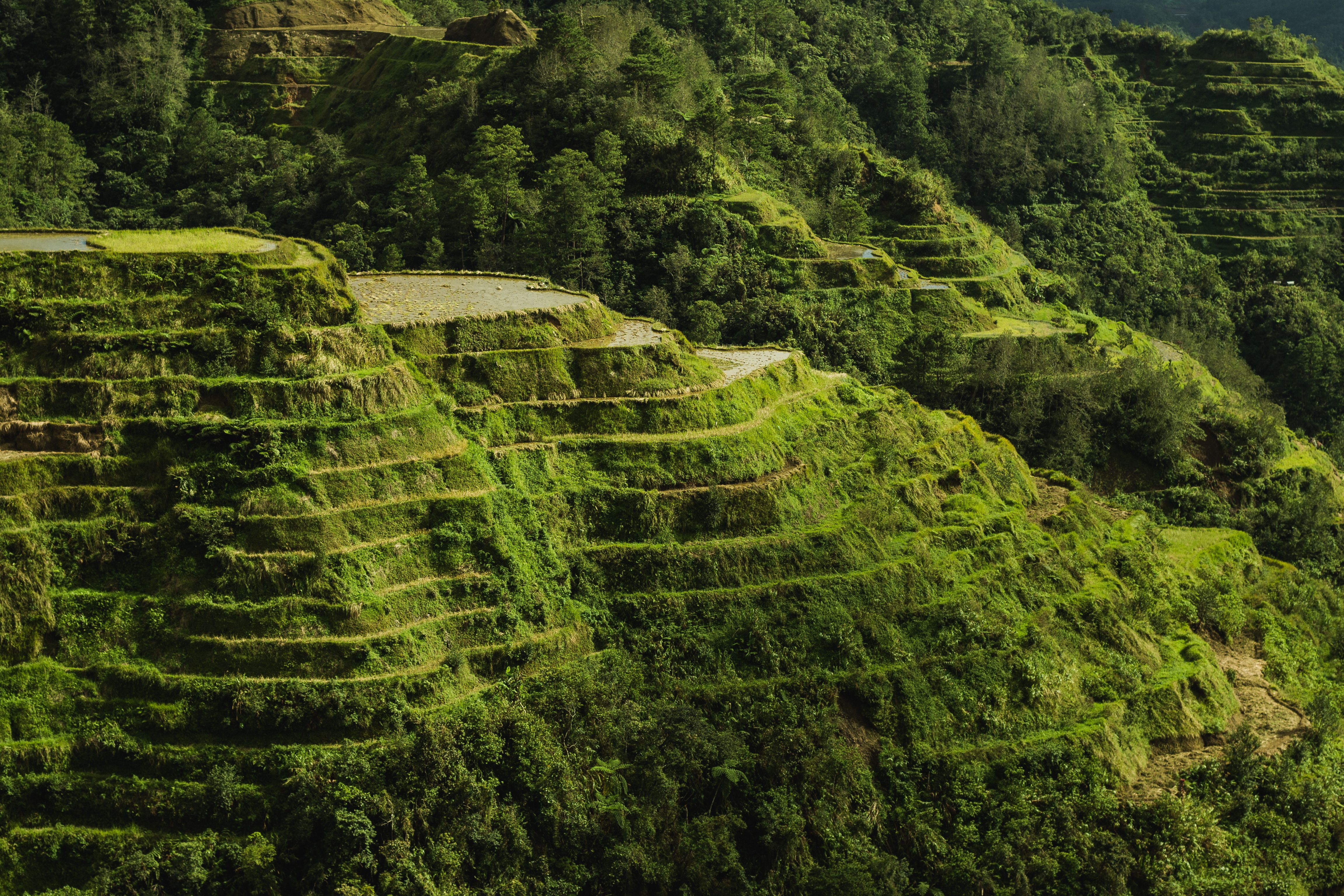 Banaue Rice Terraces in the Philippines