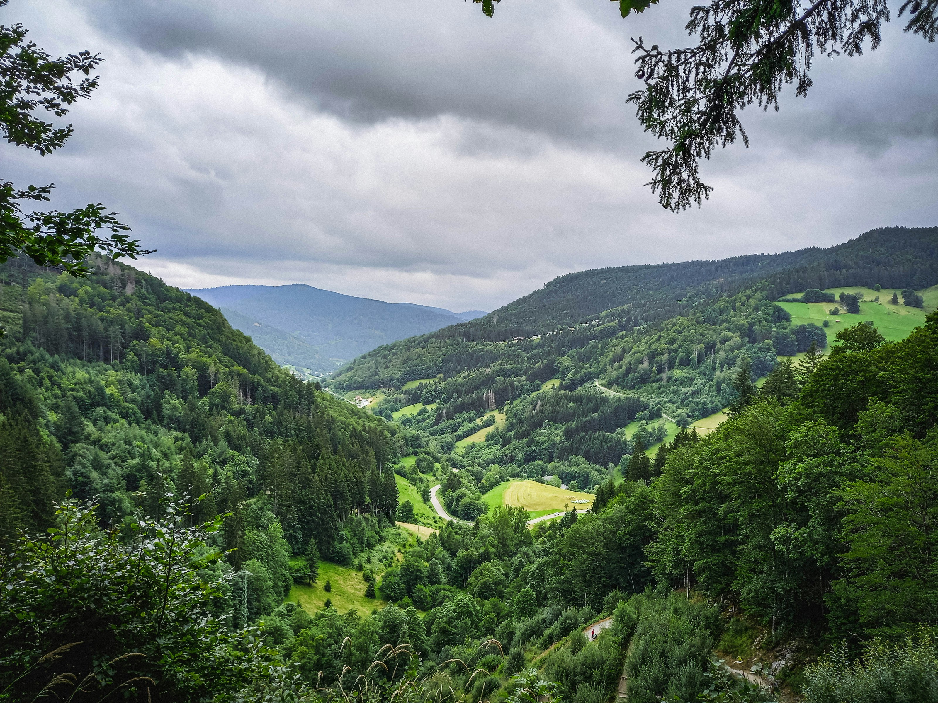 Black Forest in Germany