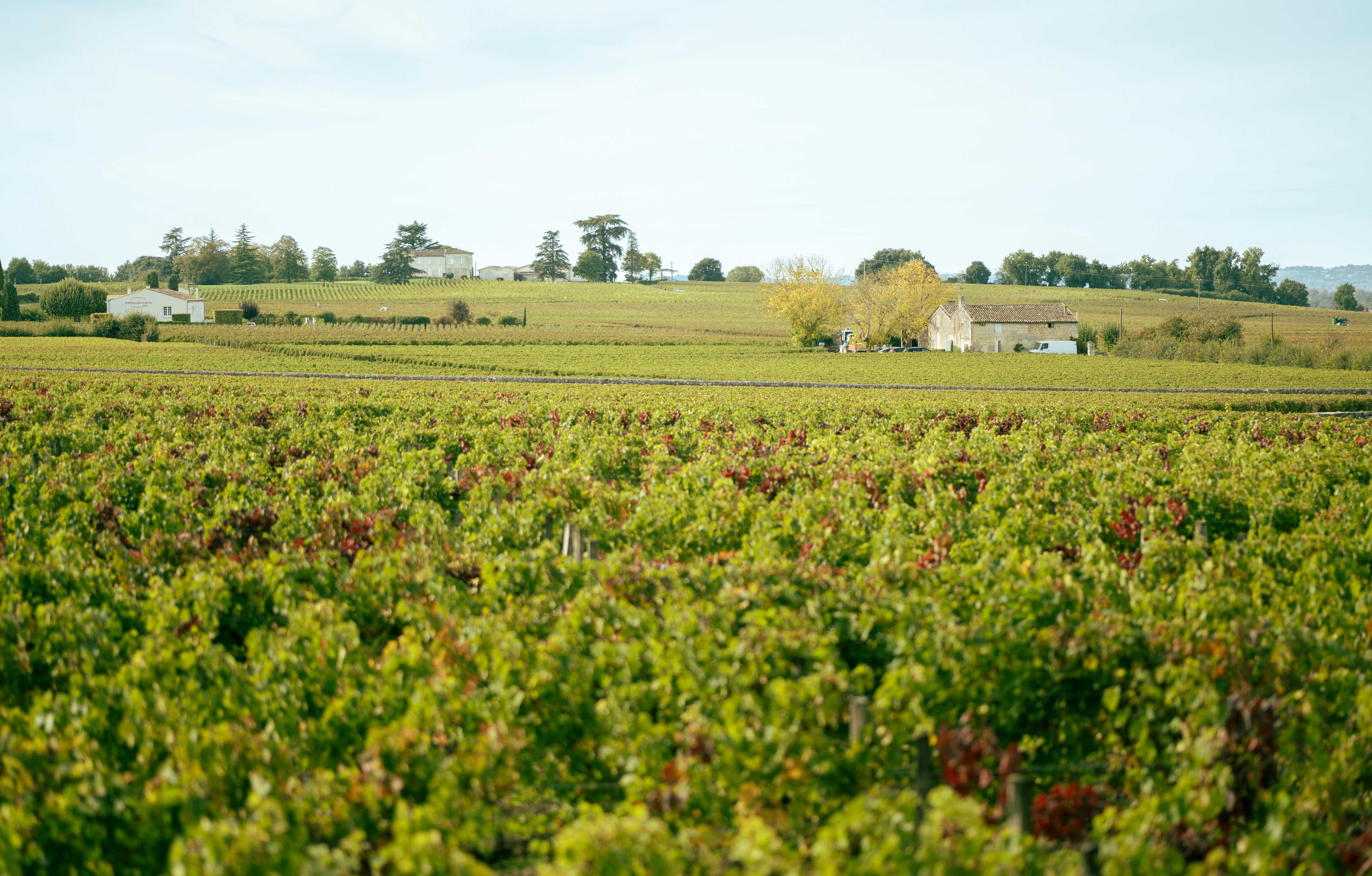 Bordeaux in France