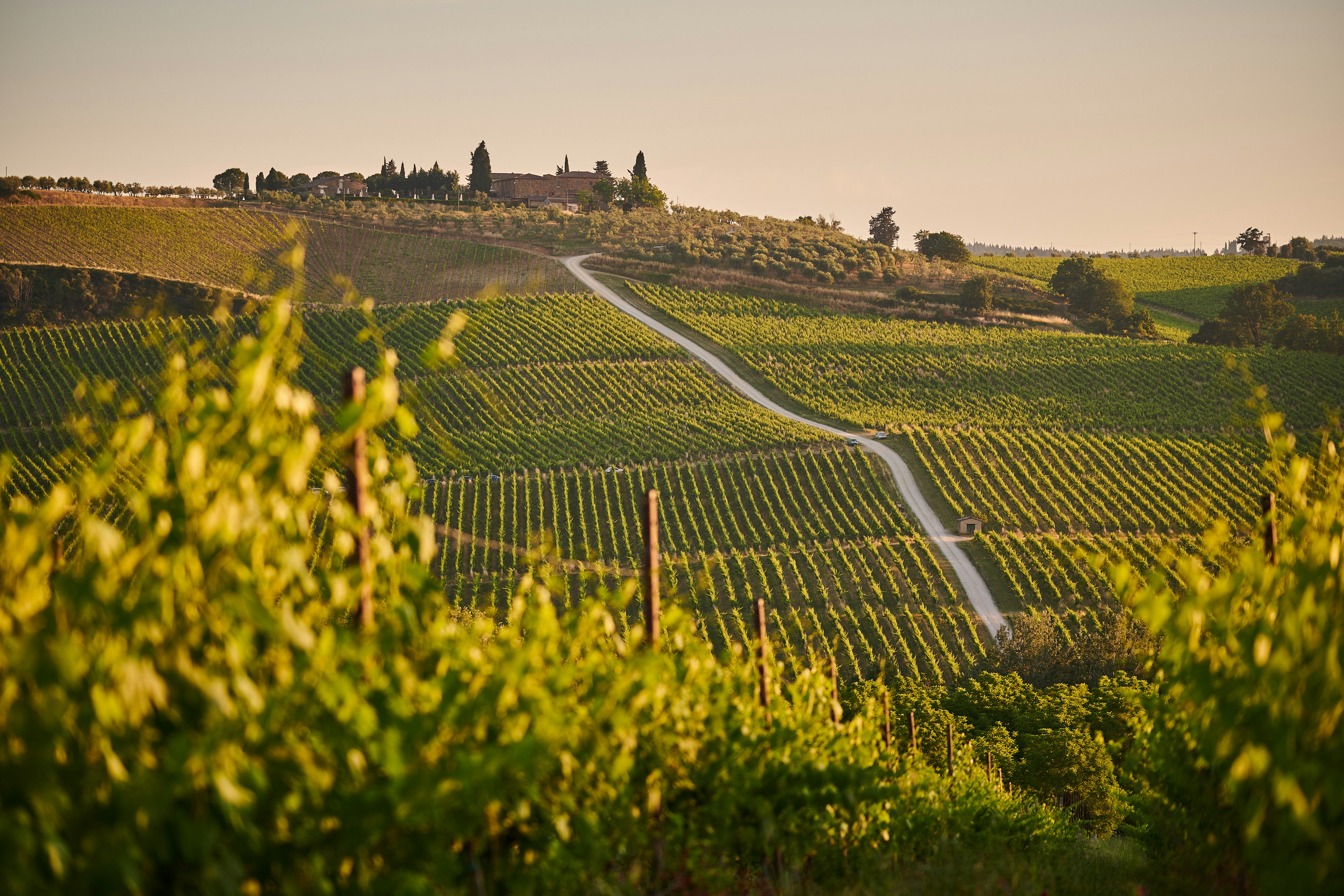 Chianti in Italy