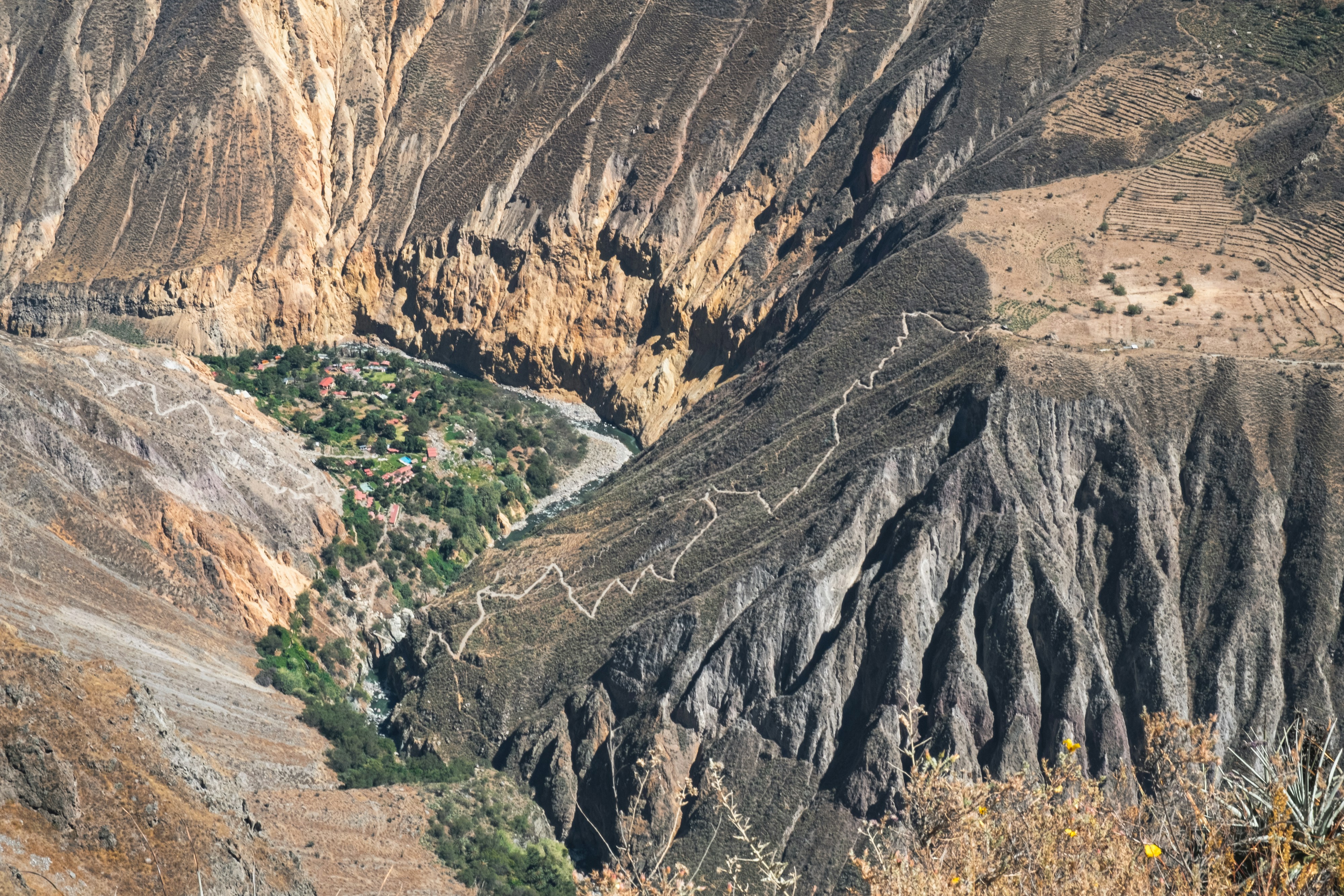 Colca Canyon in Peru