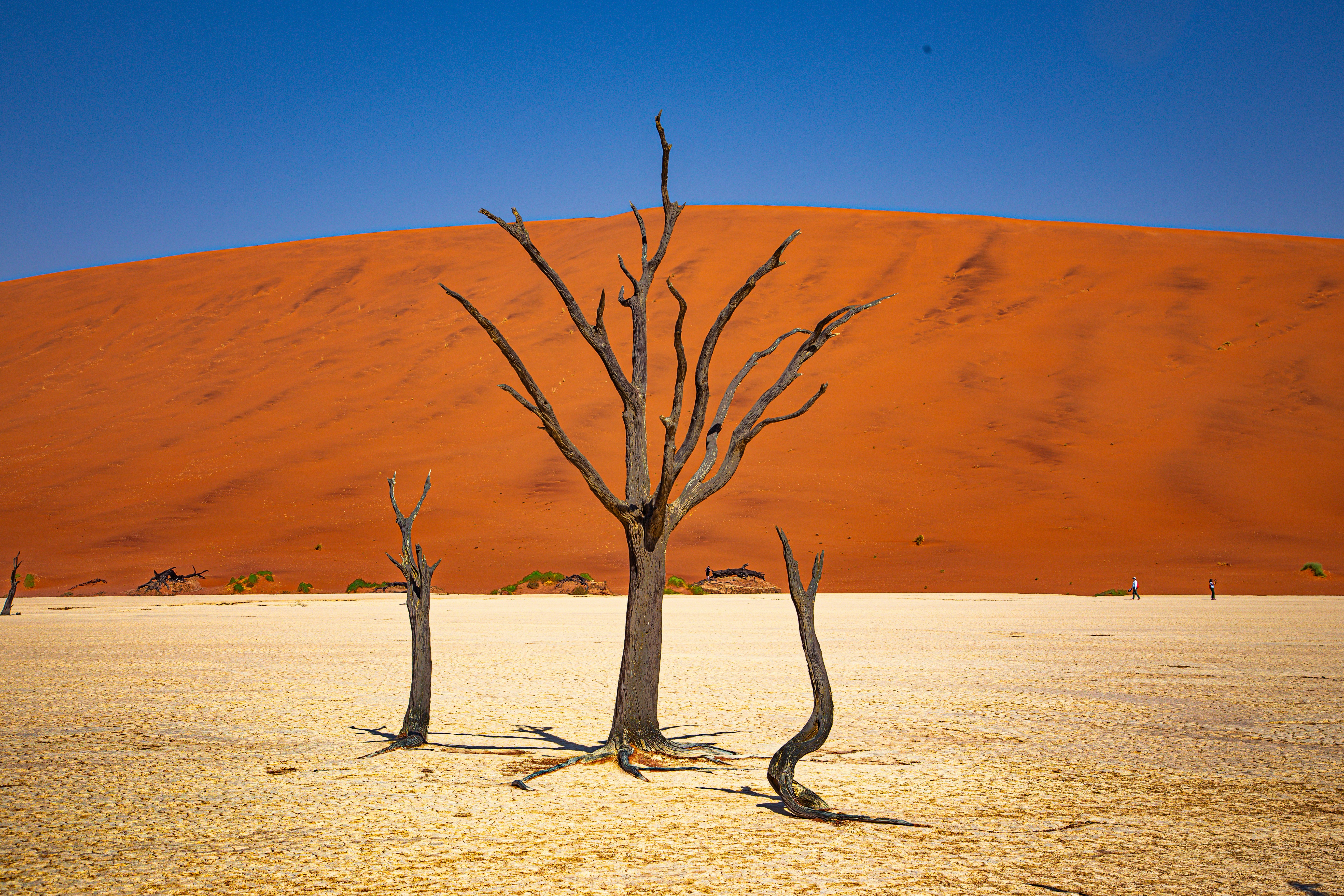 Deadvlei in Namibia