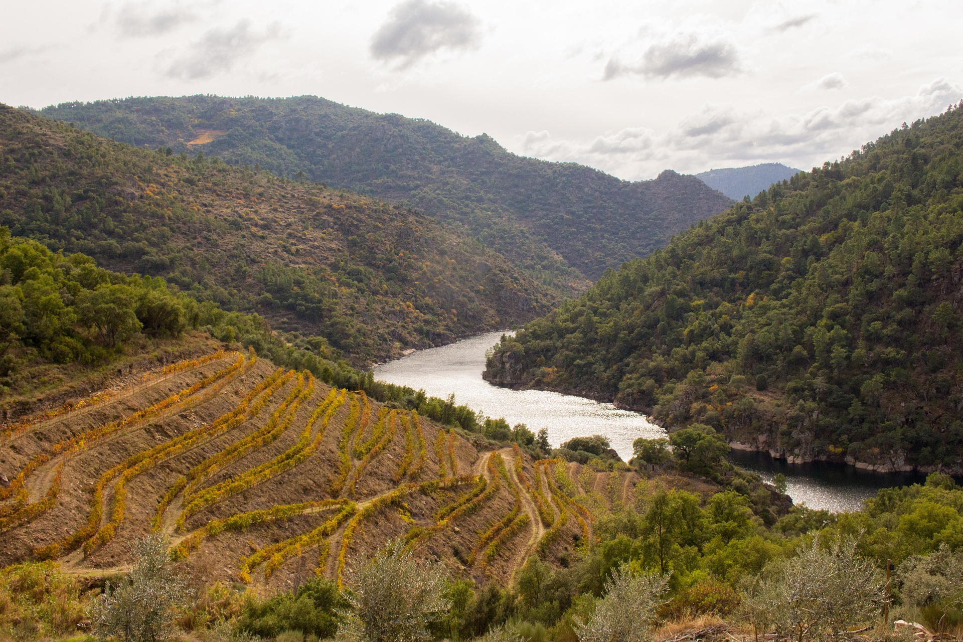 Douro Valley River Cruise in Portugal