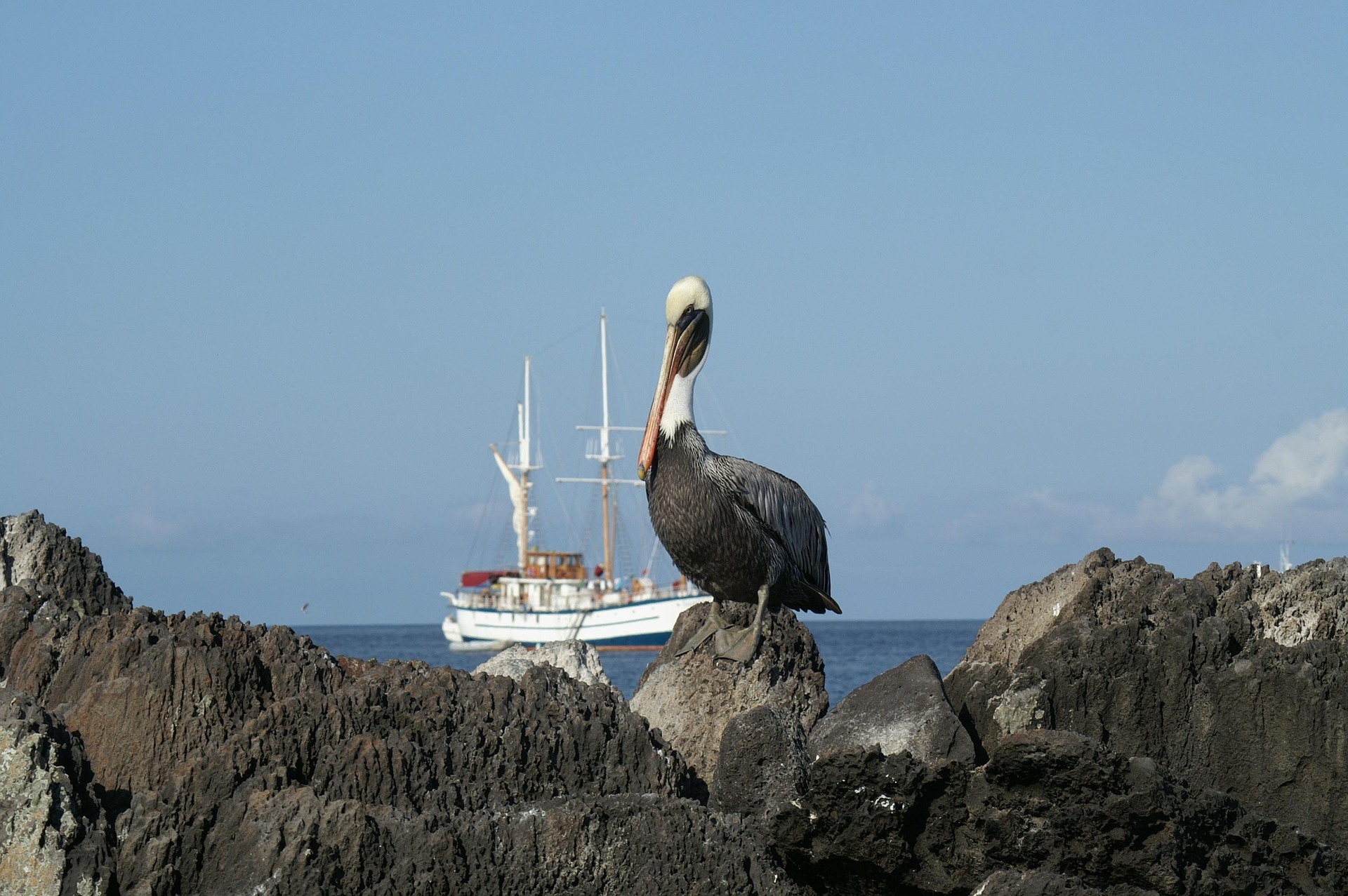Galapagos Islands Cruise in Ecuador