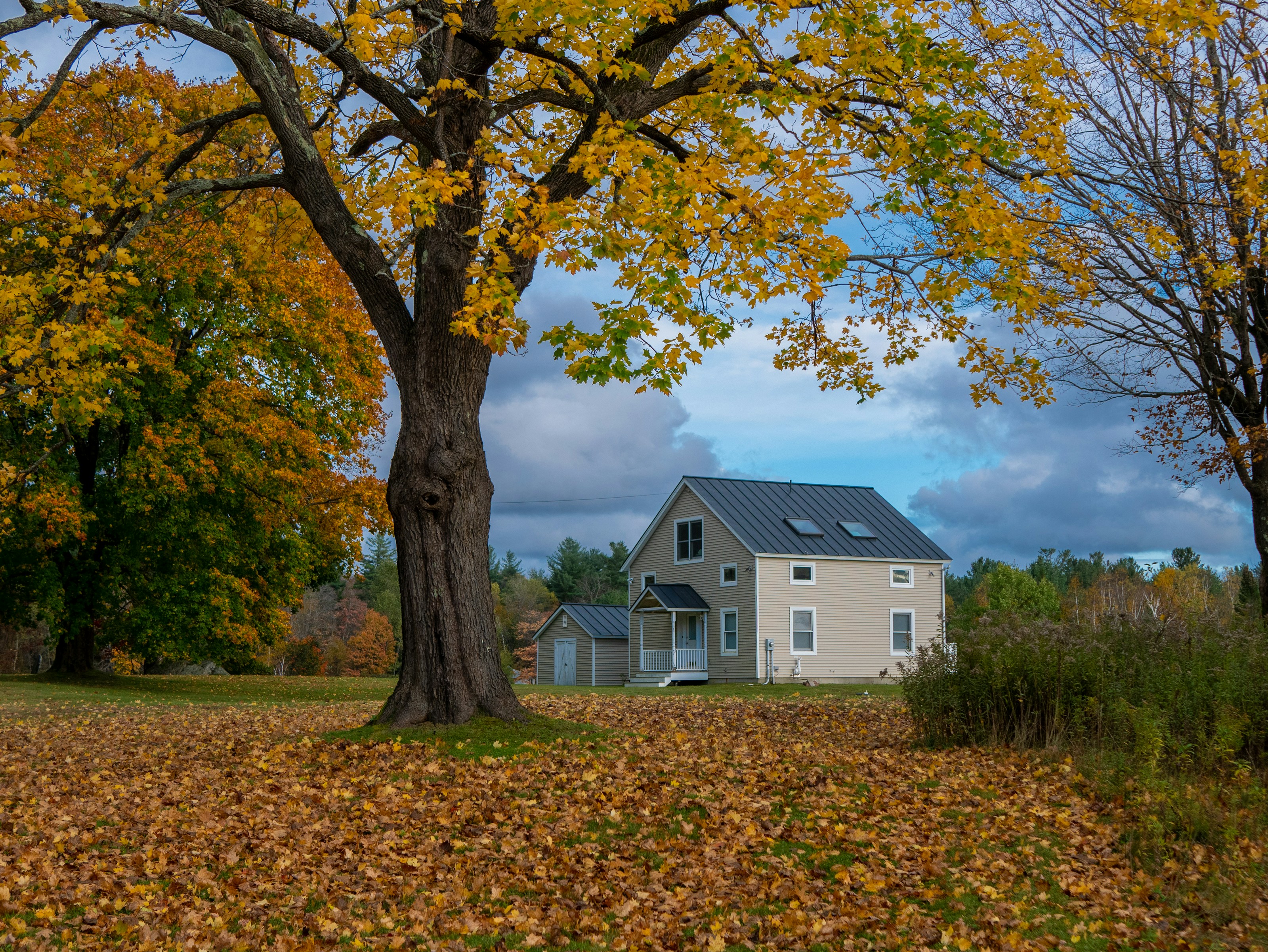 Jacob's Pillow Dance Festival in the United States