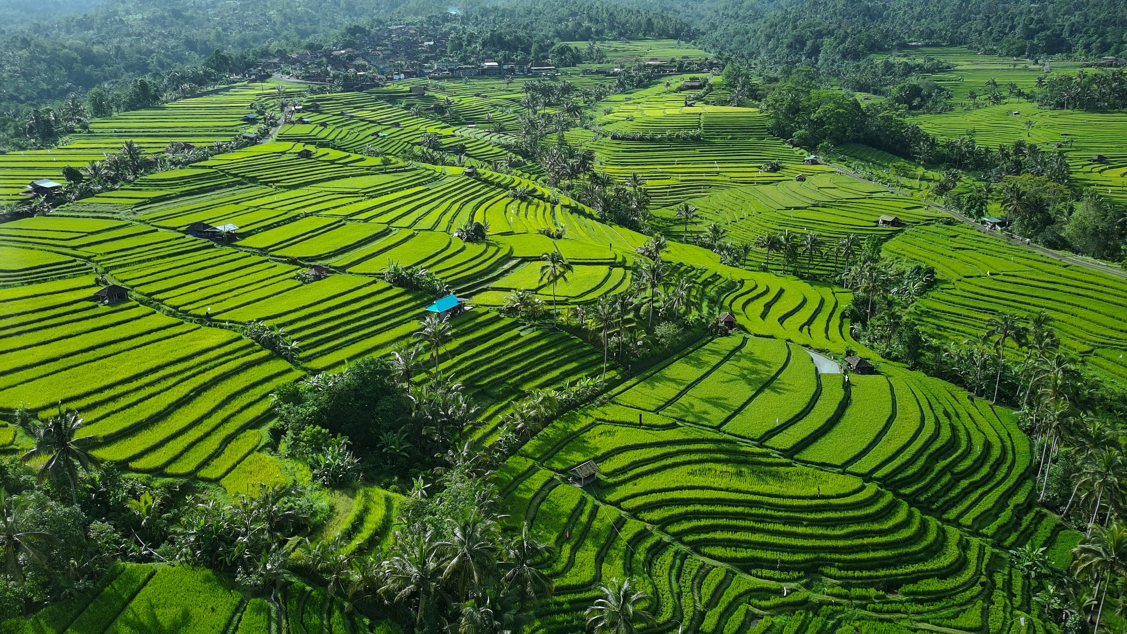 Jatiluwih Rice Terraces Cycling Route in Bali