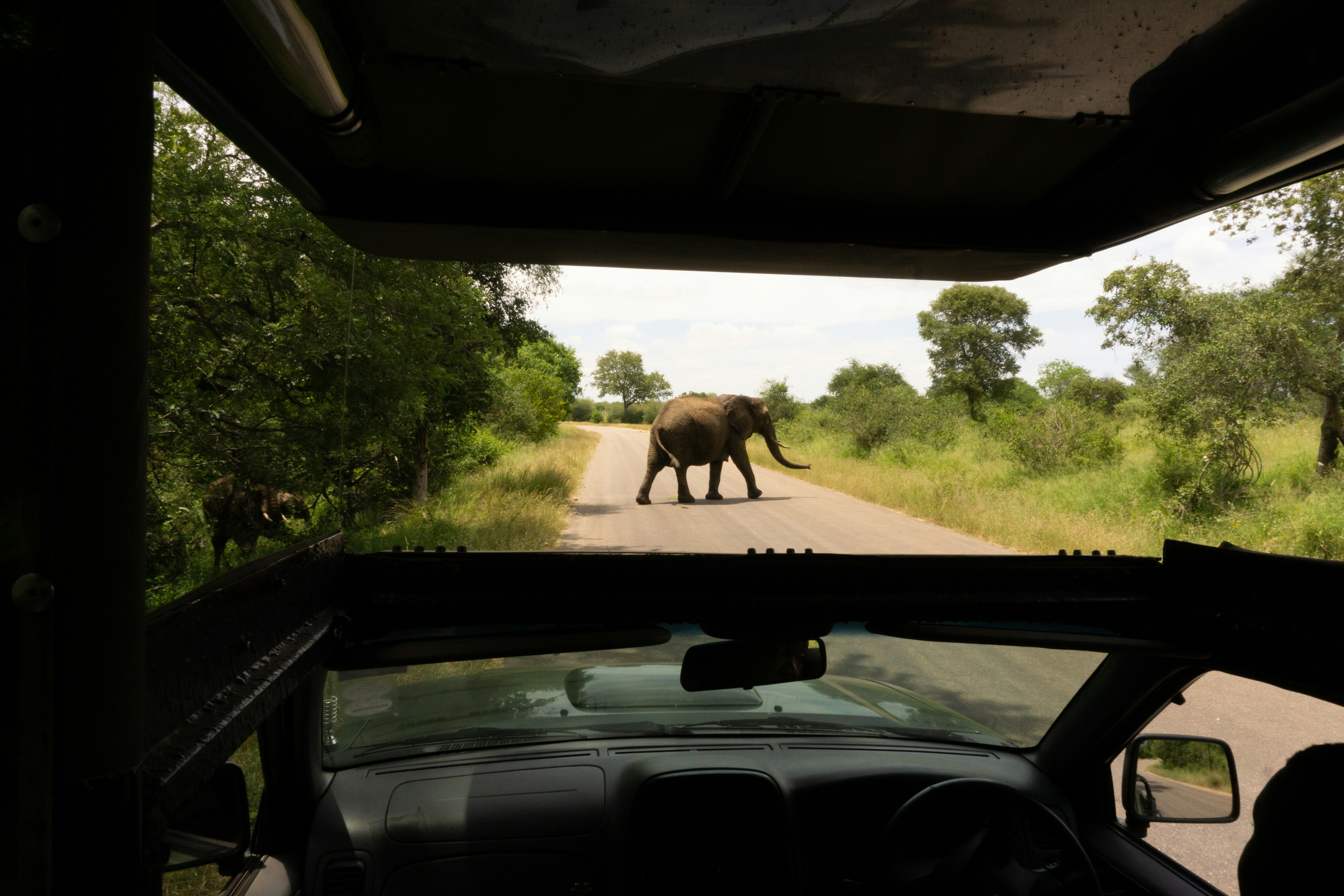 Kruger National Park in South Africa