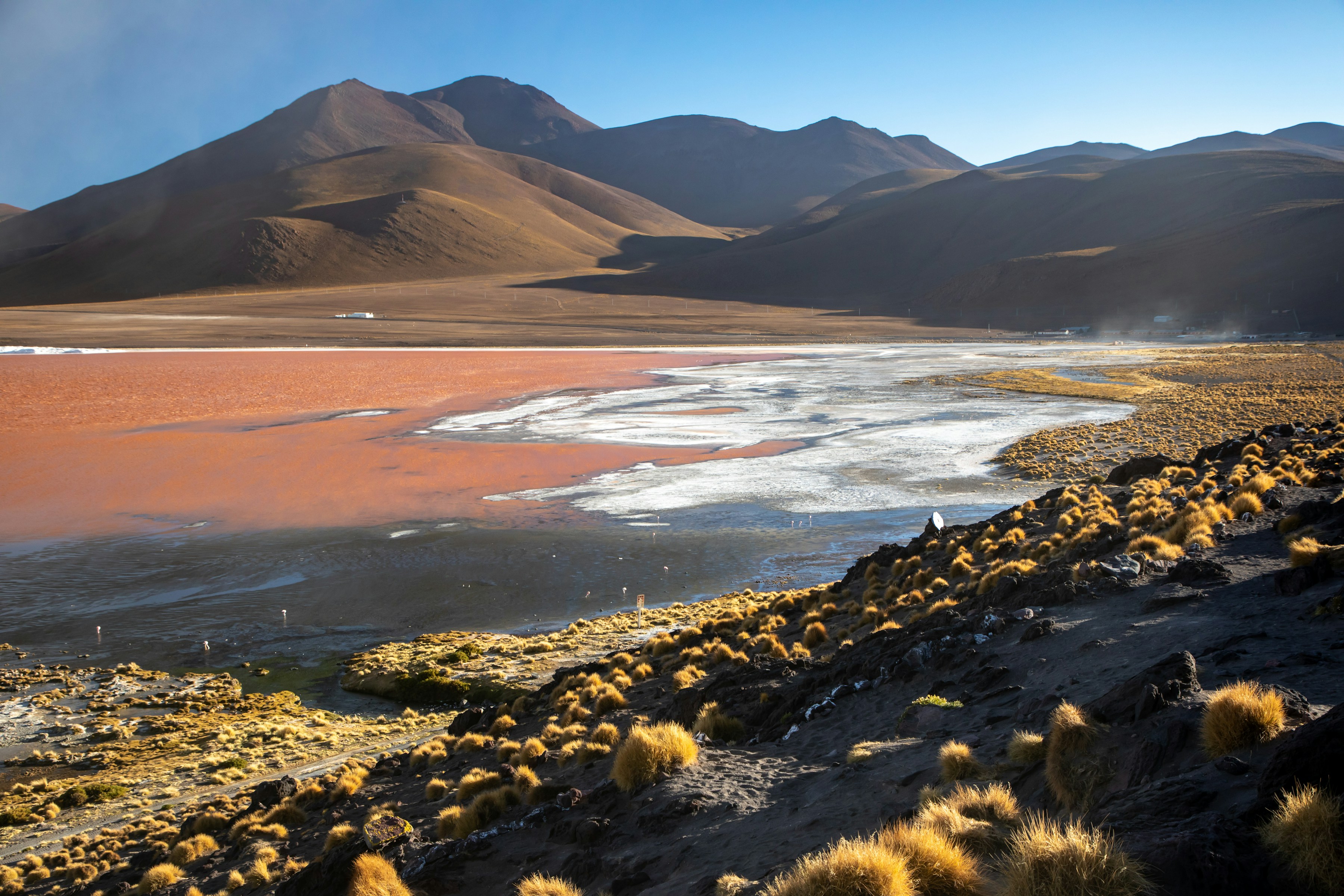 Laguna Colorada in Bolivia