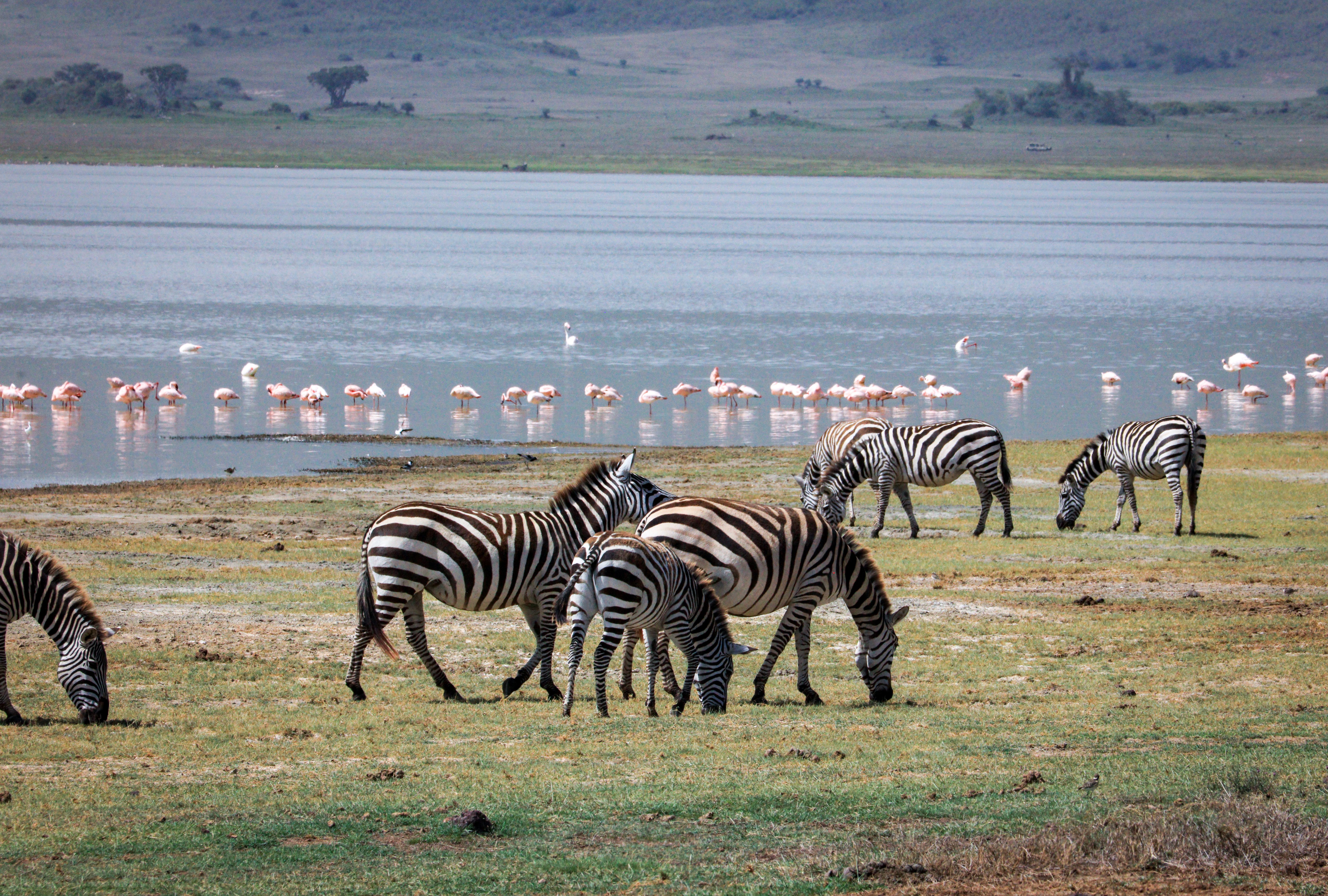 Lake Manyara National Park in Tanzania