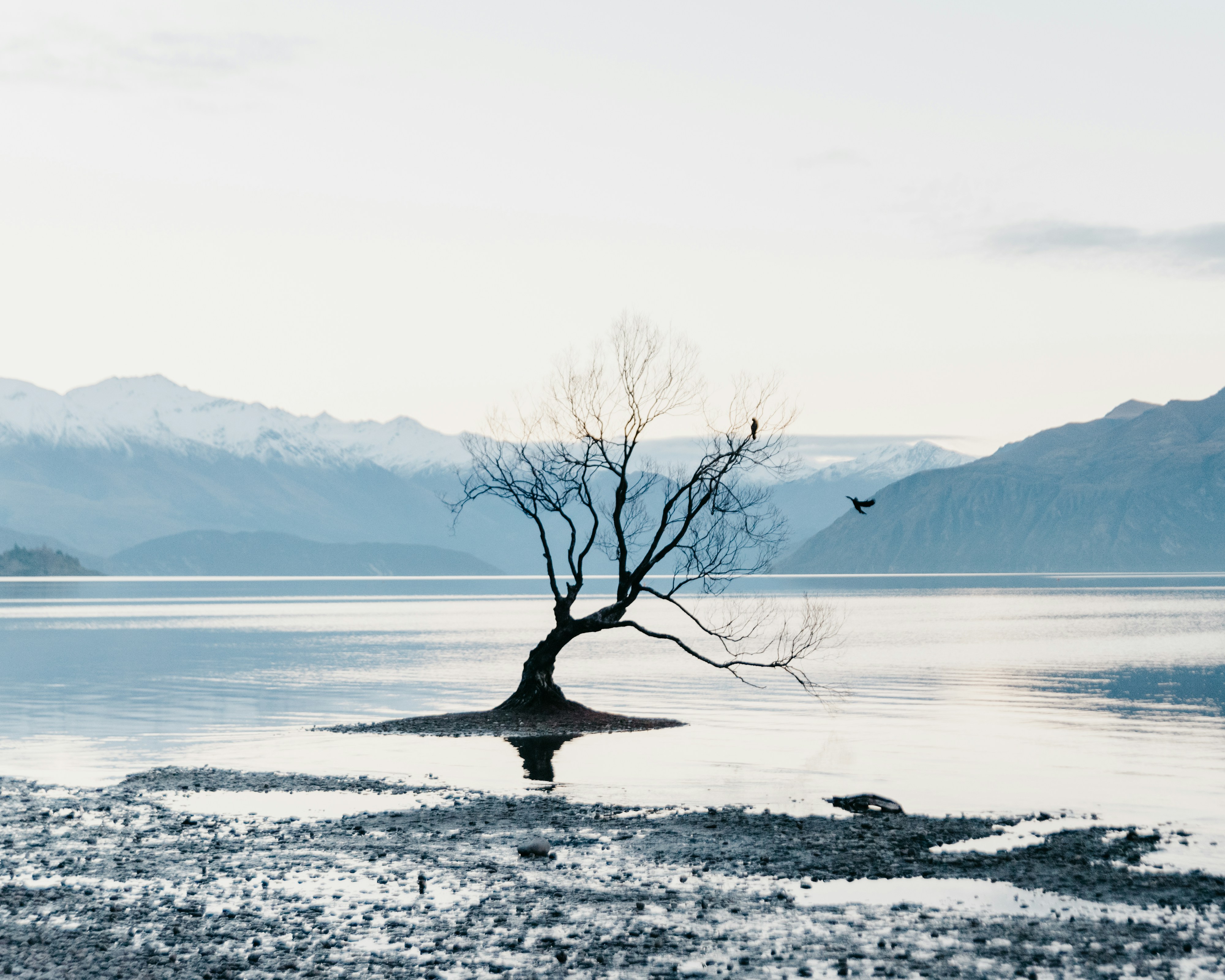 Lake Wanaka in New Zealand
