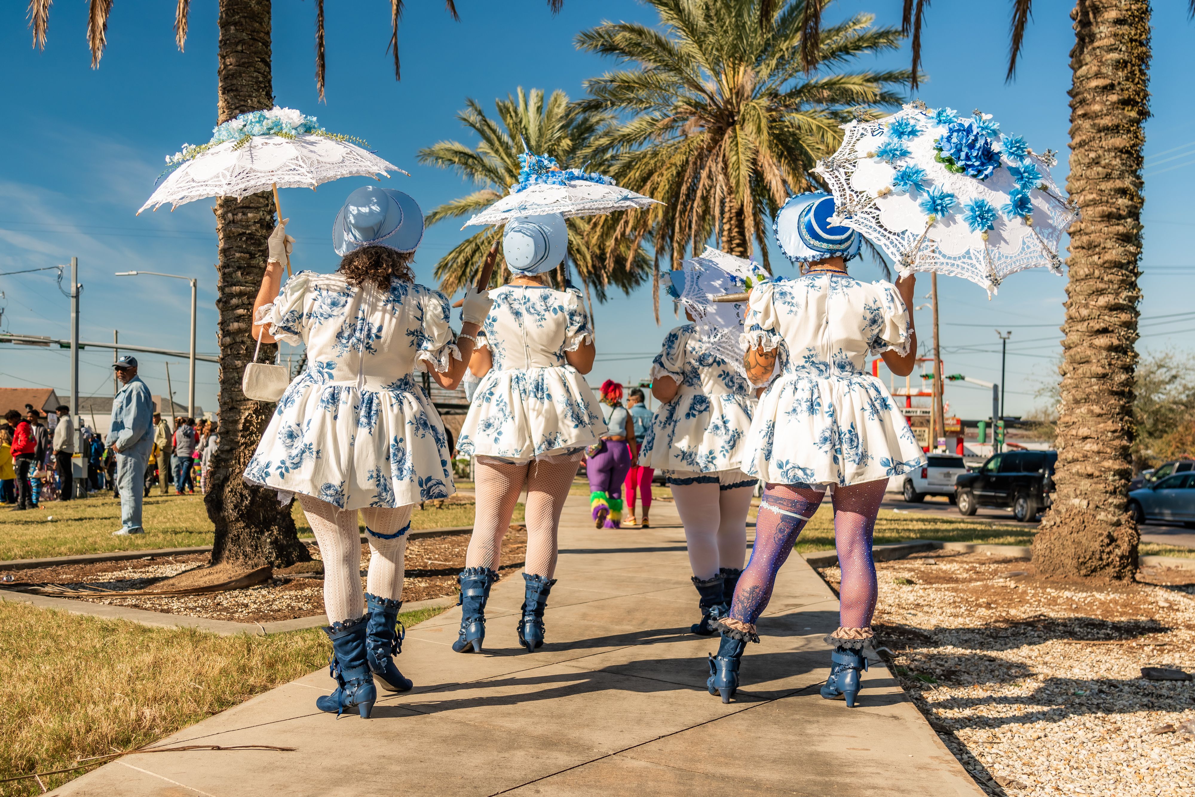 Mardi Gras in the United States
