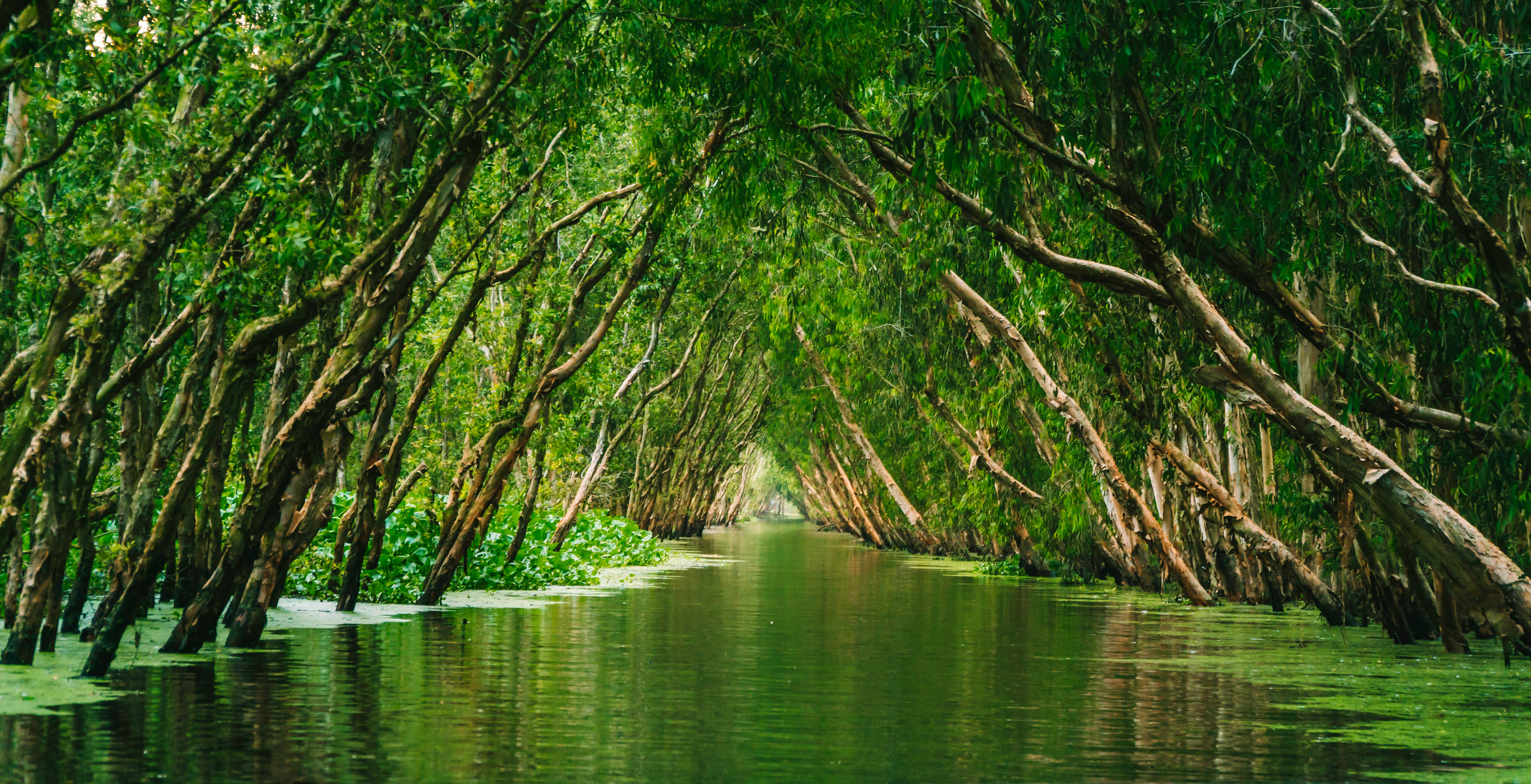 Mekong Delta Cycling Route in Vietnam