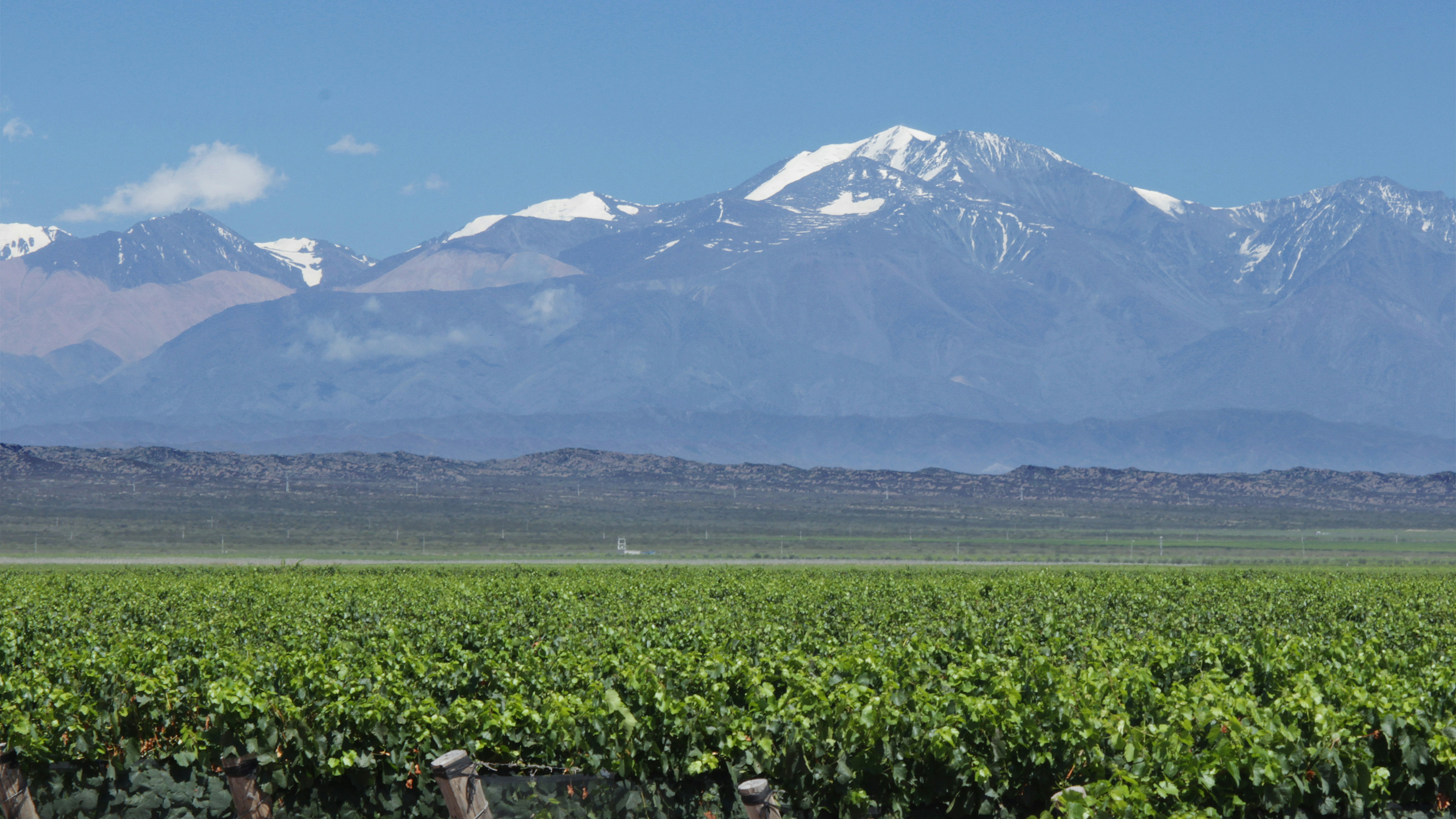 Mendoza Wine Region in Argentina