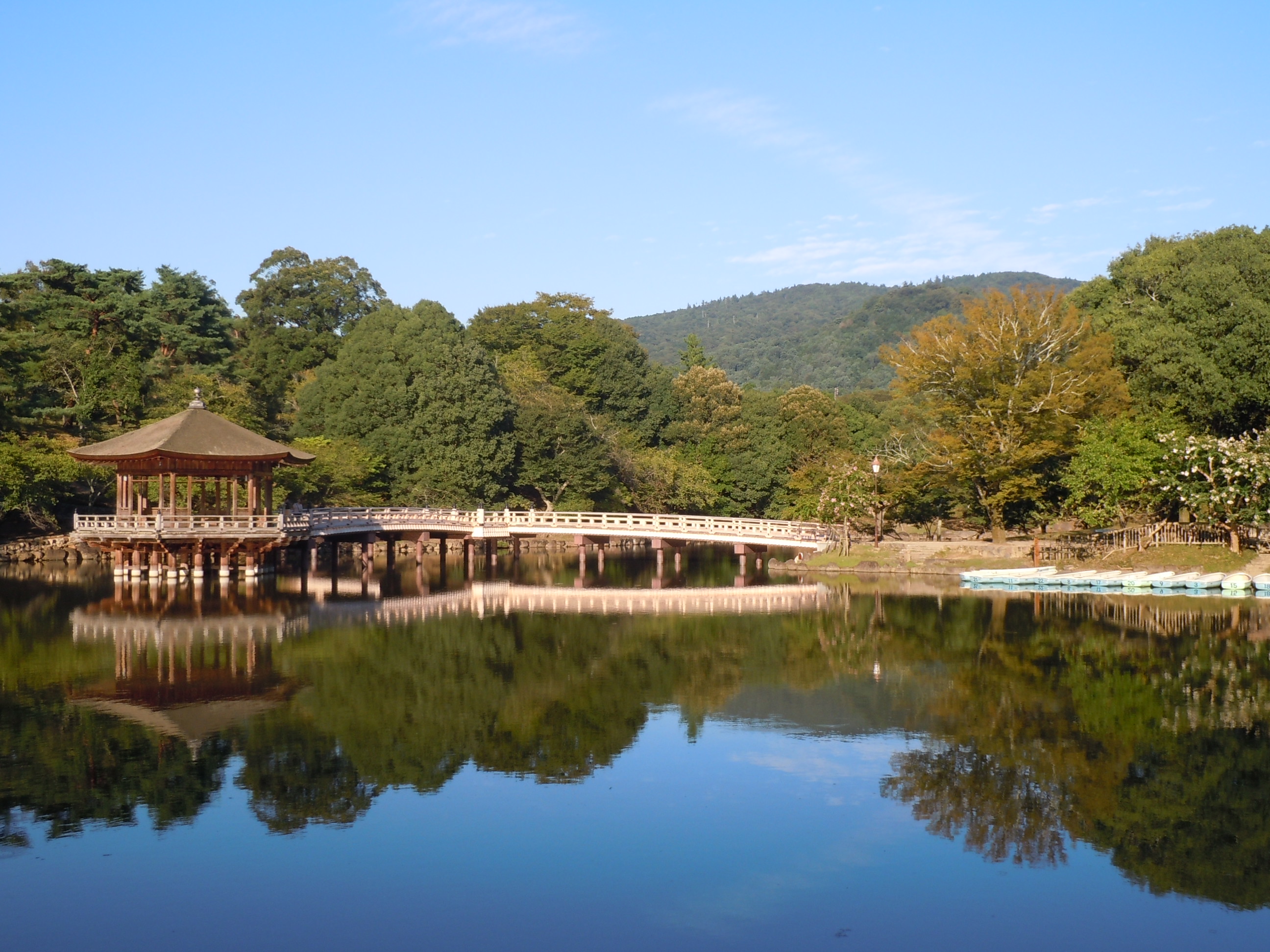 Image Exists