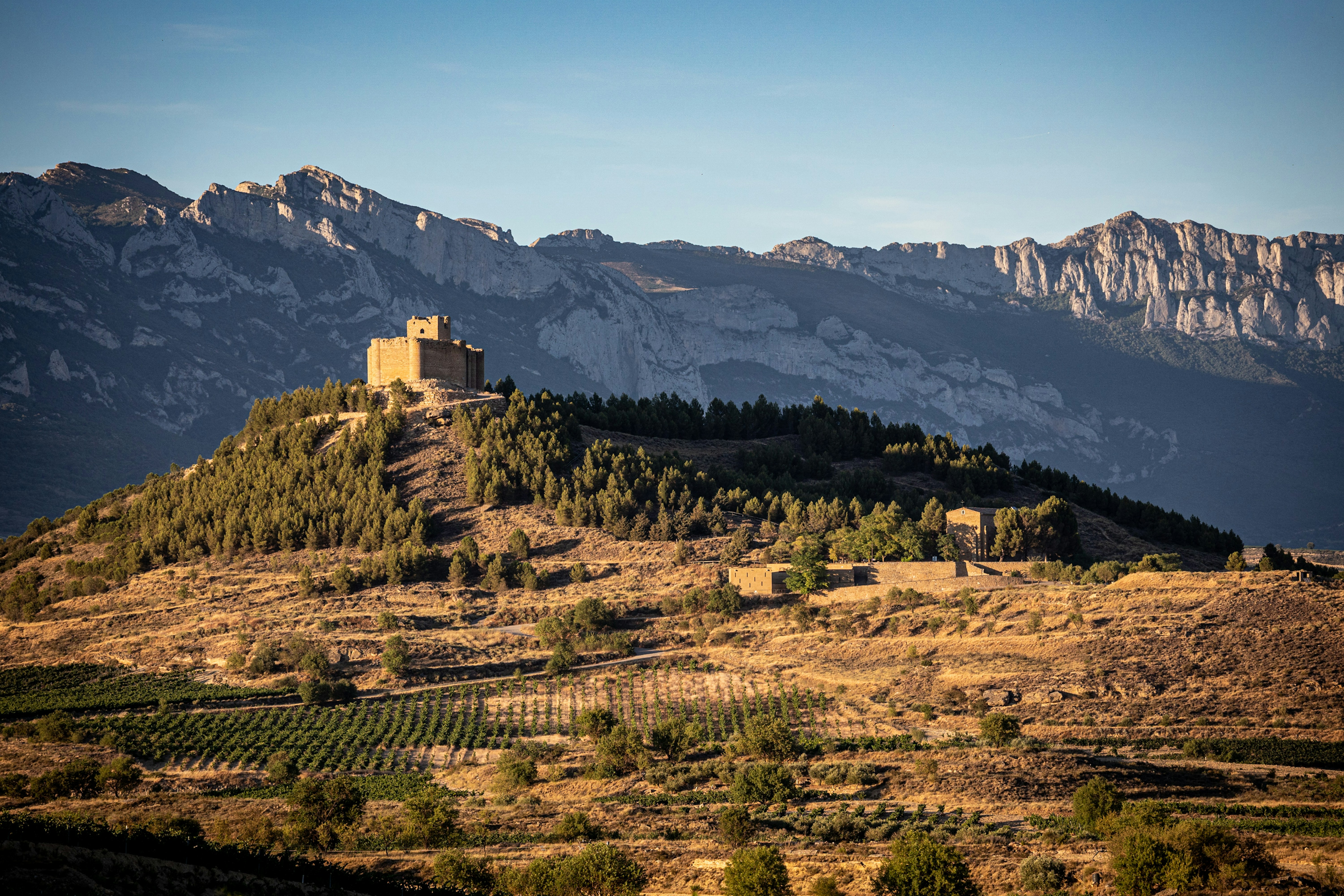 Rioja Wine Region in Spain