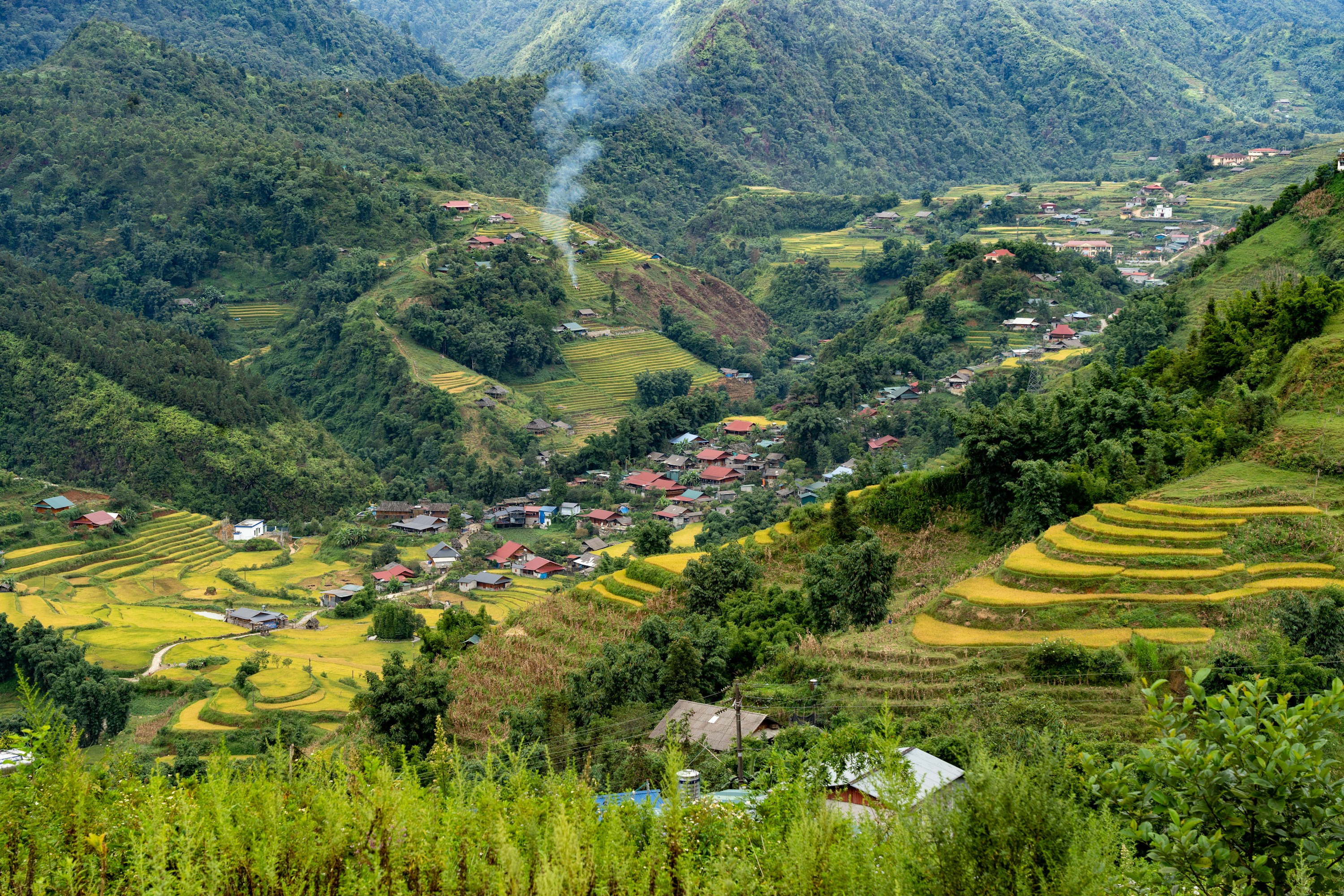 Sapa Rice Terraces in Sapa