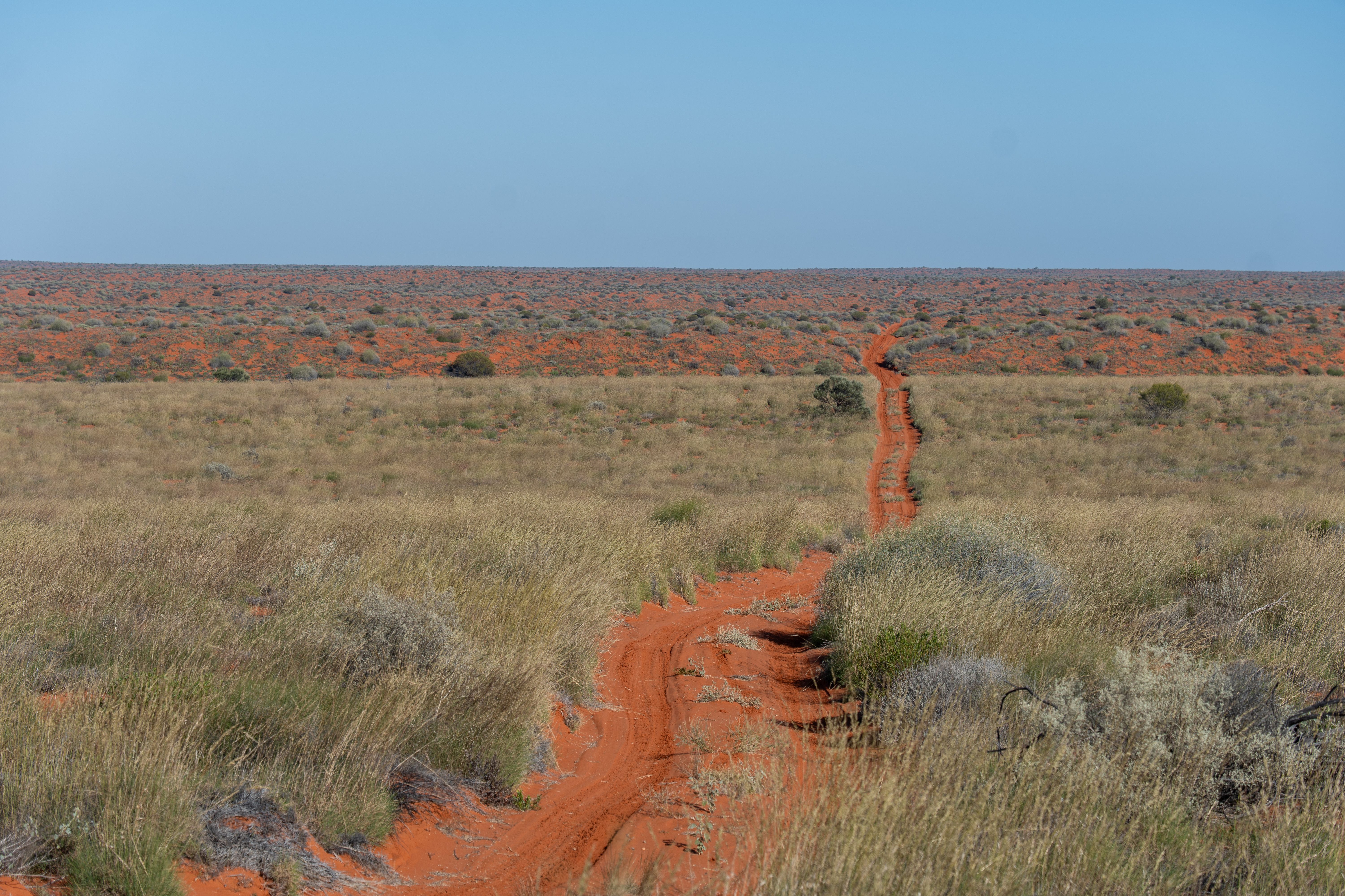 Simpson Desert in Australia