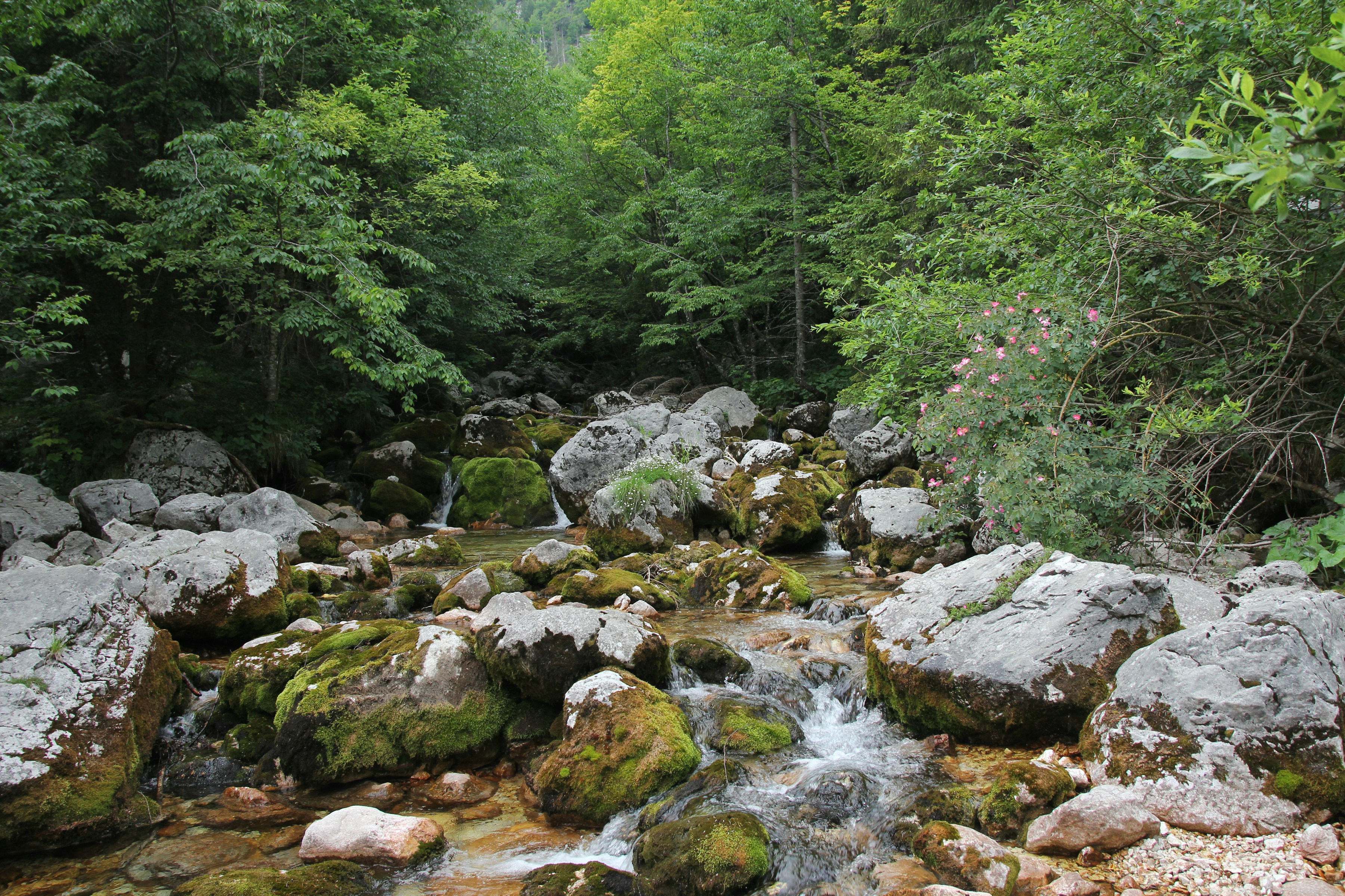 Soča Valley in Slovenia