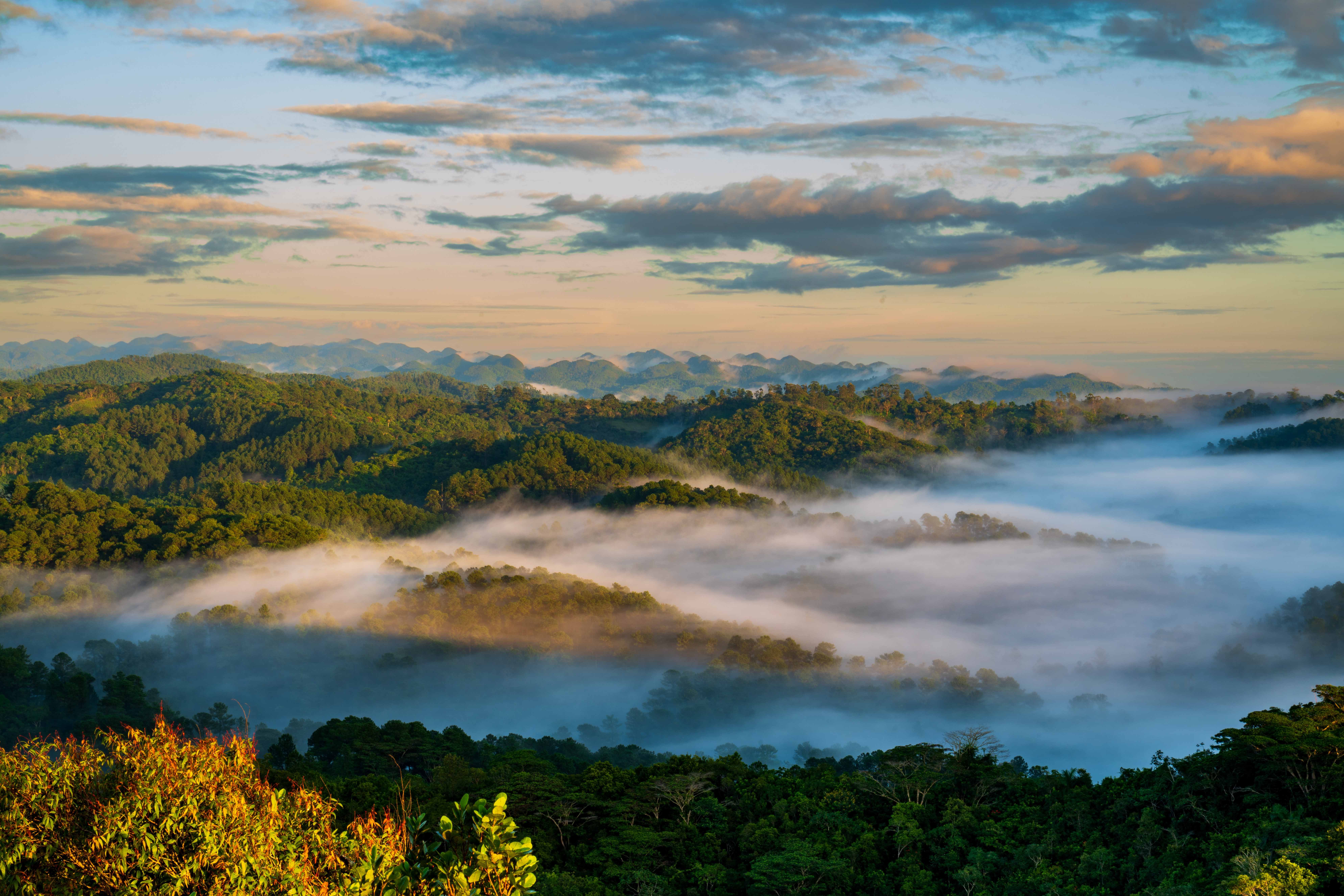 Topes de Collantes in Cuba