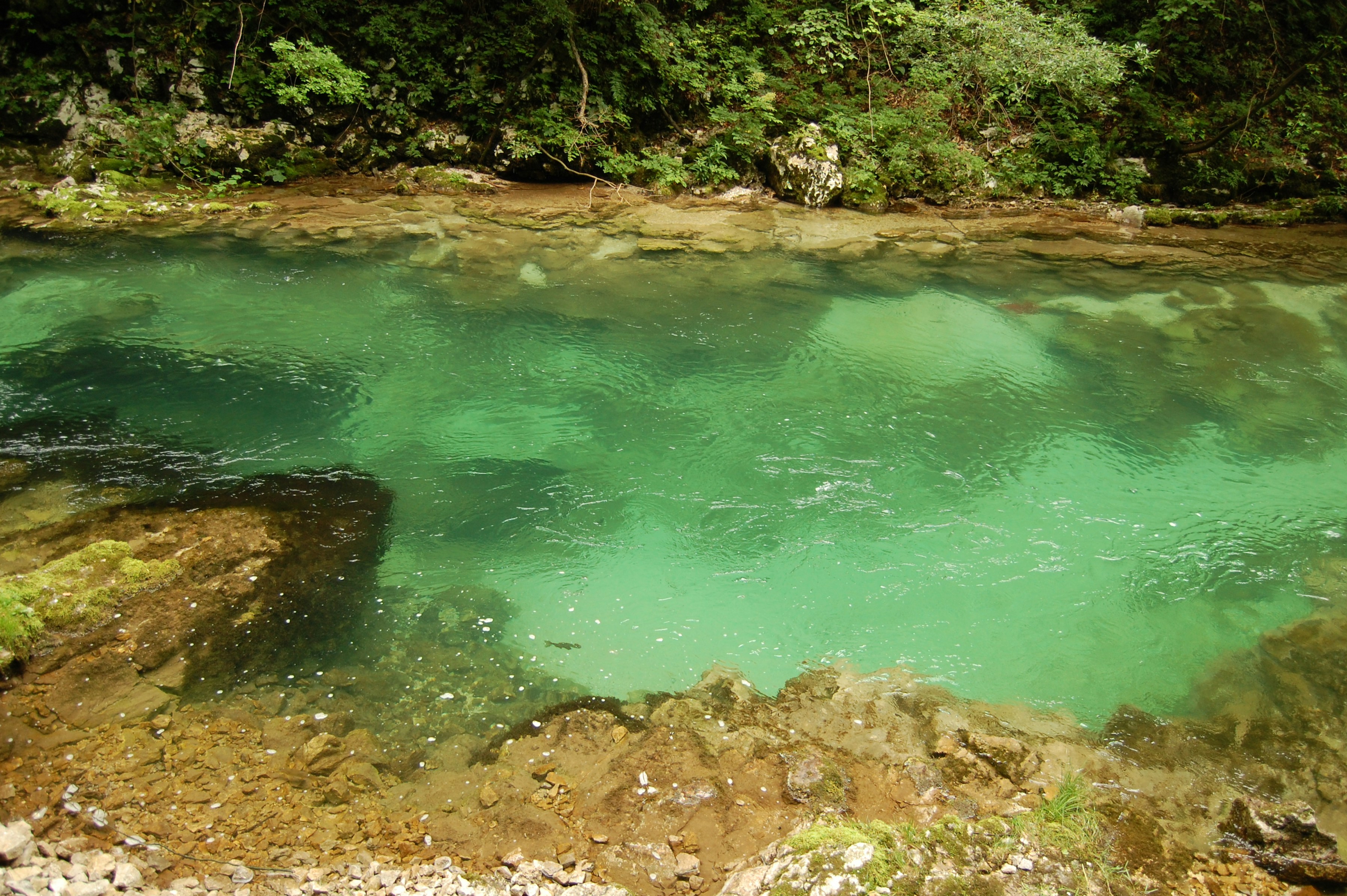 Vintgar Gorge in Slovenia